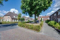 12_FUNDA_SCHOLVERBOS 24_RIJEN.jpg